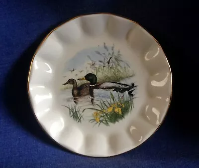 Buy Prinknash. Pottery. Dish.The Wild Fowl Series. No2 Mallard. John Gould     (PUZ) • 4£