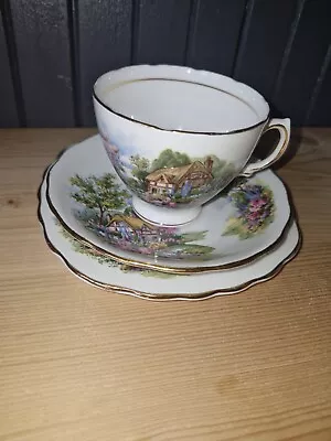 Buy Royal Vale Country Cottage Bone China Cup, Saucer And Tea Plate • 10£