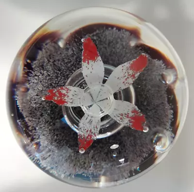 Buy Caithness Glass 'Snowflower' Limited Edition Paperweight • 30£