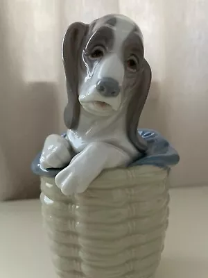 Buy Immaculate Lladro 1128 Dog In Basket. Vintage. Retired • 20£