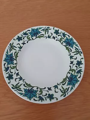 Buy Vintage Midwinter 1960s Spanish Garden Pattern China Side Plate 7in Jess Tait • 2.75£