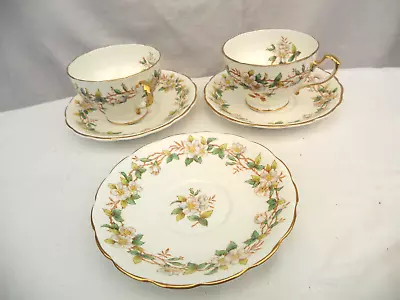 Buy Adderley Floral Fine Bone China Briar Rose 2 X Teacups 3 X Saucers Staffordshire • 10£