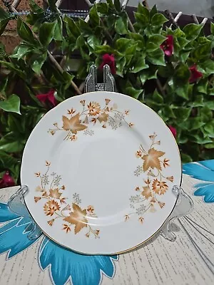 Buy Vintage Colclough “ Avon “  Brown Leaf Leaves Pattern Bread Side Plate 6¼  • 5£