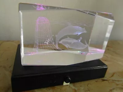 Buy Beautiful Dolphin 3D Laser Etched Glass Paperweight On Light Up Plinth • 15£
