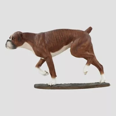 Buy Border Fine Arts A9997 Brindle Boxer Model Boxers Dog Dogs Figurine Figure BNIB • 29.99£