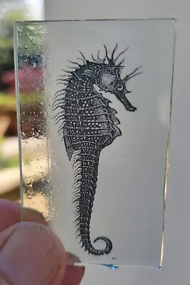 Buy Stained Glass Seahorse Kiln Fired Piece 8 Cm X 3.5 Cm • 9.99£