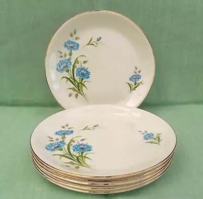Buy 6 Vintage Alfred Meakin  Cornflower  Luncheon Plates - 23 Cm (9 ) Diameter • 19.99£