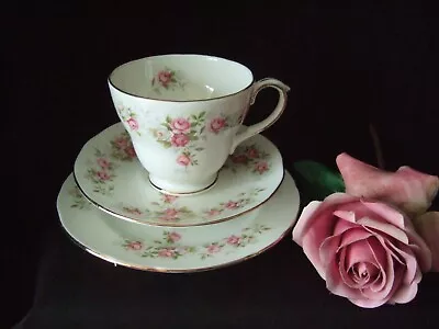 Buy Vintage Duchess Bone China JUNE BOUQUET  Design Trio Tea Cup Saucer Plate • 4.50£