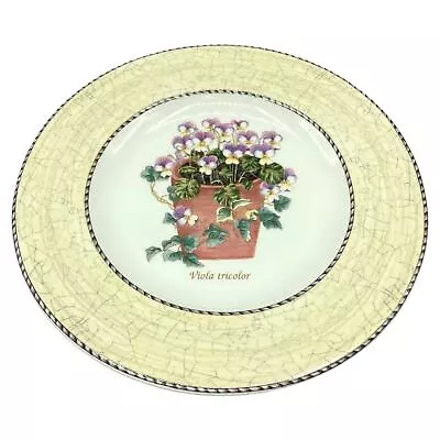 Buy Wedgwood Sarah's Garden Viola Tricolor 8  Plate • 18.64£
