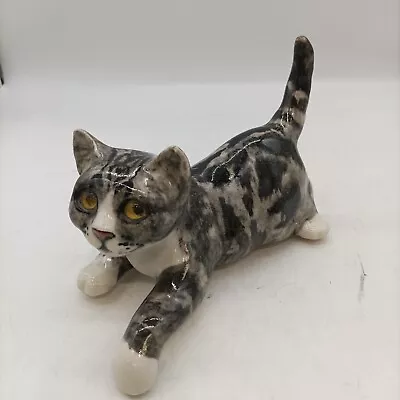 Buy Winstanley Grey Tabby Cat With Glass Eyes (#H1/07) • 13.50£