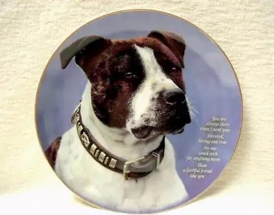 Buy Staffordshire Bull Terrier Dog Plate 8  Diameter Danbury Mint Faithful Friend • 9.99£