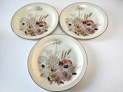 Buy Three Poole Pottery September Dinner Plates 10.25 /26cm Spares/Replacements • 22.50£