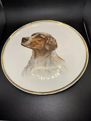 Buy Antique Sevres China Co Dog Plate • 23.34£