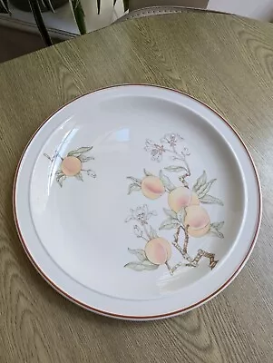 Buy Vintage Wedgwood Peach Dinner Plates 27cm/10 3/4  All In Superb Condition  • 5.50£