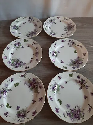 Buy 6 Hammersley Victorian Violets 7  Salad Plate Bone China Gold Trim Spode England • 65.35£