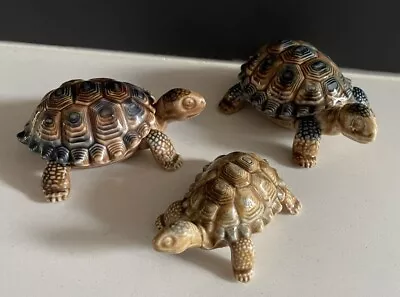 Buy Vintage Wade Porcelain - 3 Tortoises (2 Large 1 Small) • 17£