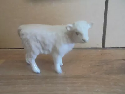 Buy LOVELY BESWICK CHAROLAIS  CALF  -  MODEL No 1872E  IN GLOSS • 45£