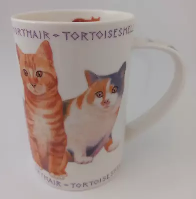 Buy Dunoon Fine Bone China Mug Cats Designed By Richard Partis England • 12.50£