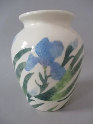 Buy A Jane & Stephen Baughan Aston Pottery Songeware Vase With Iris Flowers & Buds • 5.95£