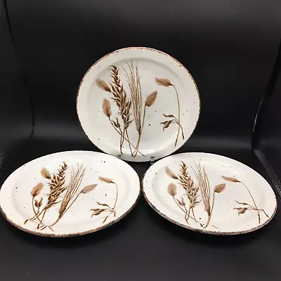 Buy Midwinter England Wild Oats Stonehenge Oven To Tableware 8  Plates Set Of 3 • 25.13£