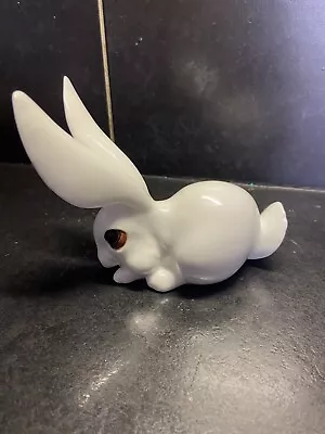 Buy Royal Osborne Big Eared Rabbit • 12.50£