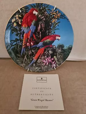 Buy Wedgewood Green-Winged Macaws Fragile Paradise Fine Bone China Plate 196/12,500 • 5£