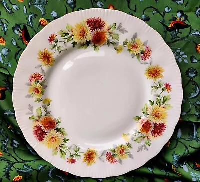 Buy Vintage 1950s Royal Standard Dinner Plate • 7.50£