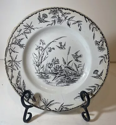 Buy Antique Ridgway Sparks & Ridgway  Indus  Pattern Birds And Cattail Plate England • 79.21£