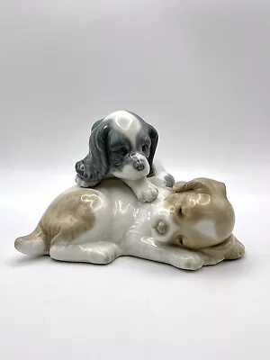 Buy Nao By Lladró 'Wake Up' Pair Of Spaniel Puppies Porcelain Figurine 0385 • 5.99£