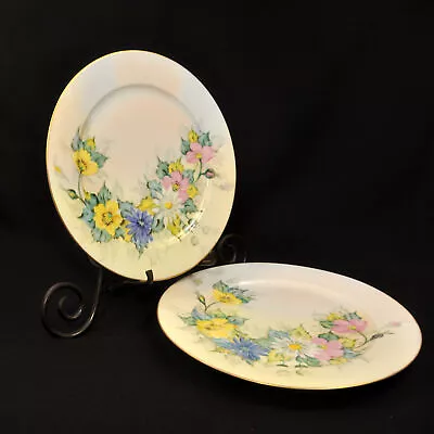 Buy Thomas Bavaria Set Of 2 Plates Hand Painted Wild Roses Daisies 1908-1939 W/Gold • 81.99£