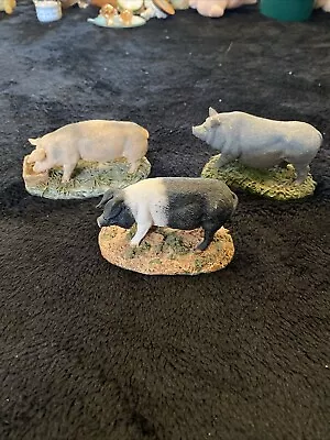 Buy Set Of 3 Royal Doulton Pigs • 5£