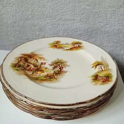 Buy Alfred Meakin The Inn Vintage Plates Size Starter X 6 7.5  Rare Old England! • 19.99£
