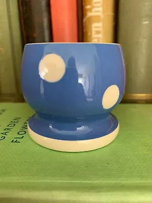 Buy Vintage Cornish Ware T G Green Blue And White Domino Egg Cup 4cm H Rare • 19.99£