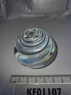 Buy John Ditchfield/Glasform Iridescent Clear Glass Shell Paperweight/Ornament  • 25£