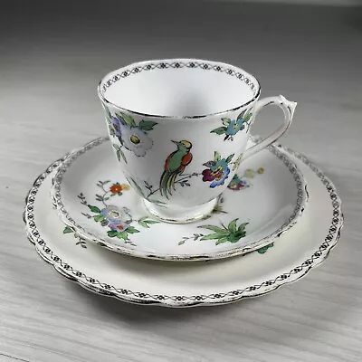 Buy Vintage Tea Cup Trio Plant Tuscan China Paradise Birds • 12.95£