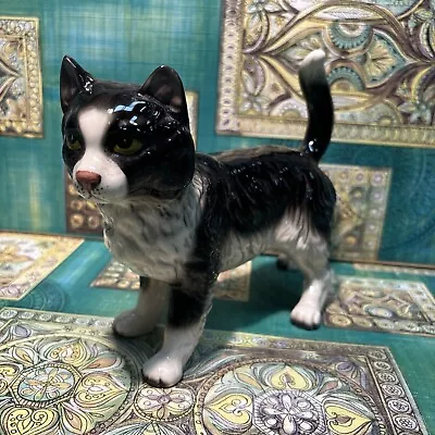 Buy Beswick Black And White Cat Ceramic Ornament Figurine. Perfect Cat Lover Gift. • 14.99£