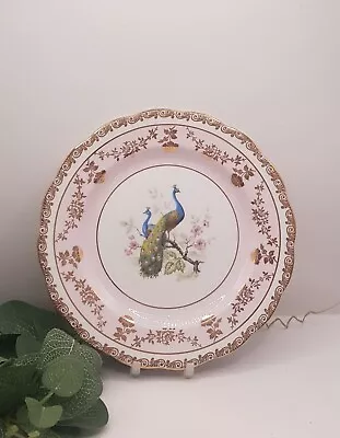 Buy Vintage Royal Standard Bone China Peacock Plate (Price Per Plate) • 12£