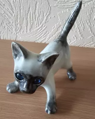 Buy Winstanley Cat Size 1 Cathedral Glass Eyes Siamese Kitten Ready To Pounce • 33£