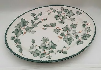 Buy Vintage Made In England Country Vine Design Oval Plate 1980s Good Condition  • 9£