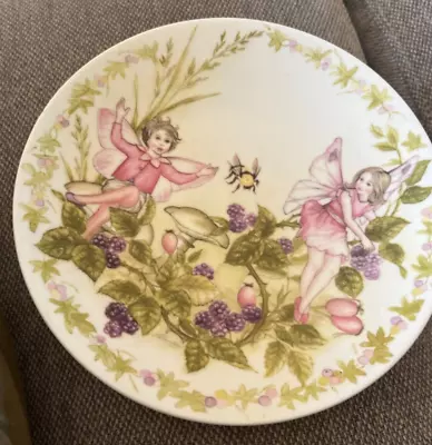 Buy Crown Fine Bone China Garden Fairies Plate • 10.65£