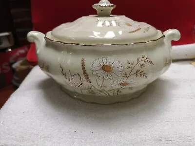 Buy Royal Doulton Lambethware.  Norfolk  Lidded Tureen • 12.55£