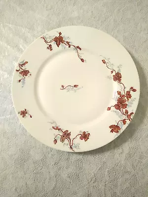 Buy Antique Haviland Limoges 9 5/8  Rose Dinner Plate • 6.54£