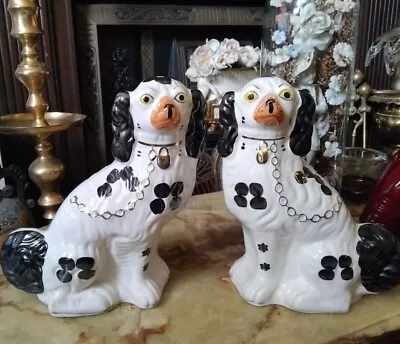 Buy Glorious Large Arthur Wood English Staffordshire Spaniel Mantle Dog Pair 11.5” • 125£