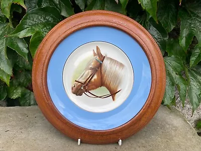 Buy Quality Mahogany  Framed Vintage Horse Plate. • 19.99£