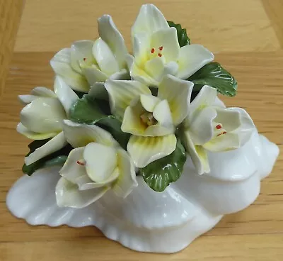 Buy Aynsley Fine Bone China - January Jasmin Flower Ornament. • 4£