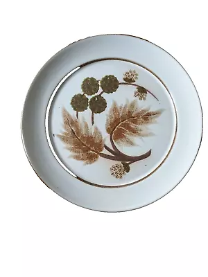 Buy Denby Cotswold Pottery Stoneware Dinner Plate 25cm Diameter • 4.99£