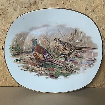 Buy Vintage Harry Hancock Pottery Oval Serving Plate Platter - Pheasant - 29 X 26cm • 4.99£
