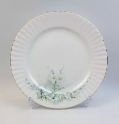 Buy Royal Stafford White Apple Blossom - 26cm Dinner Plate - Several Available • 6.50£