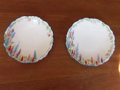 Buy 2 Carlton China Hand Painted Delphinium Pattern Jam/butter Dishes. • 5£