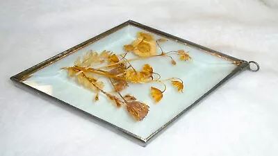 Buy Vintage Pressed Flower Hanging Glass BEVELED Window Suncatcher Leaded Diamond • 25.88£